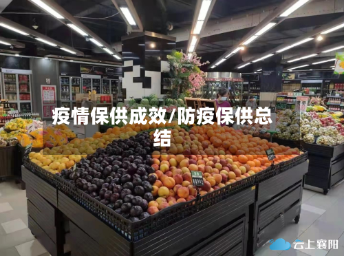 疫情保供成效/防疫保供总结