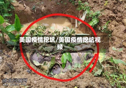 美国疫情挖坑/美国疫情挖坑视频