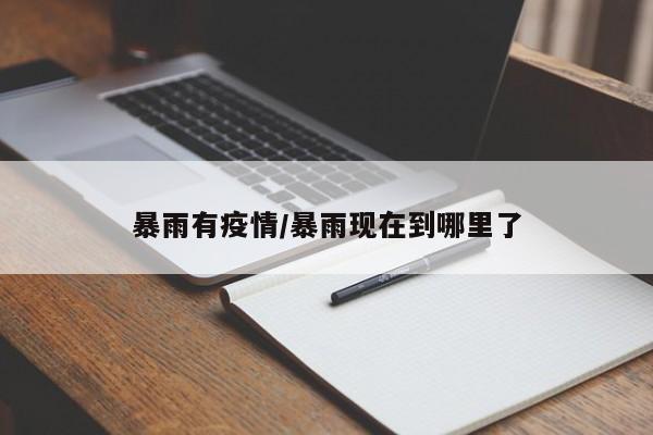暴雨有疫情/暴雨现在到哪里了